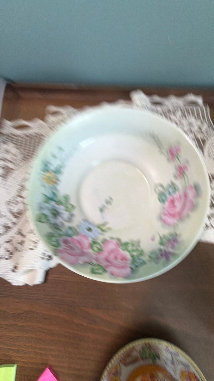 #76 hand-painted Bavarian porcelain bowl marked Bauther Waldsassen and signed Ol